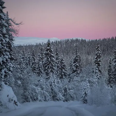 Radisson Blu Resort, Beitostølen 4*