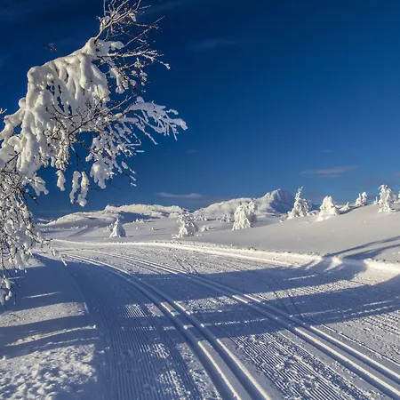 Radisson Blu Resort, 4*