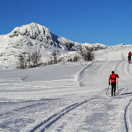 Beito Hotel Beitostolen